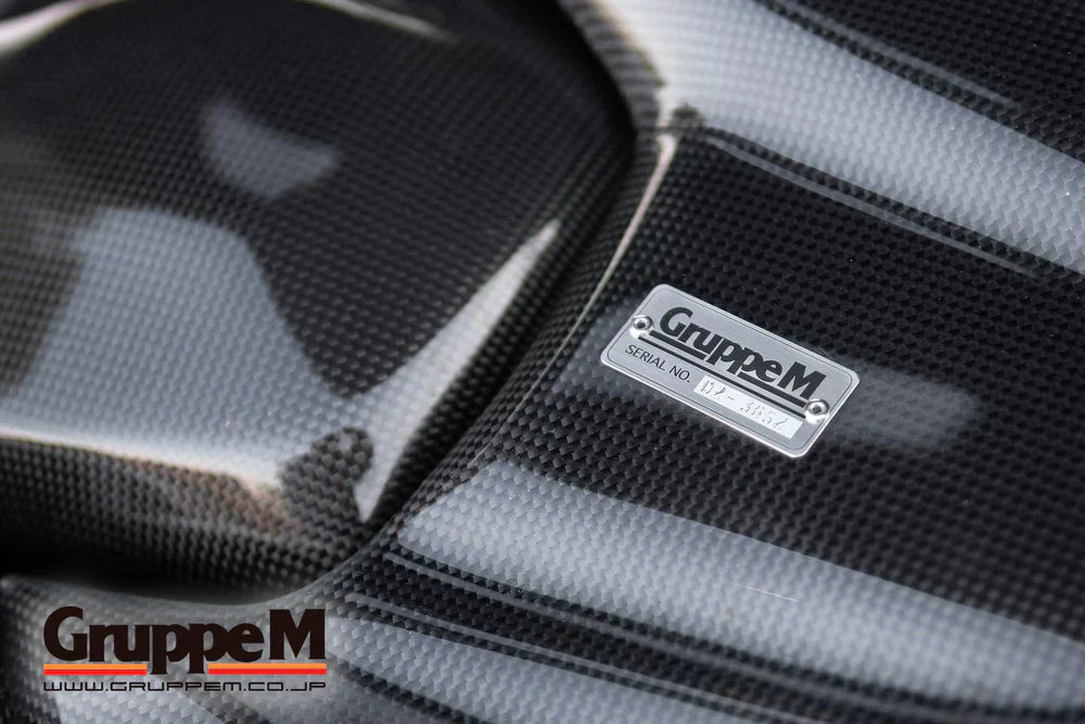 GruppeM RAM Air System - Engine Bay