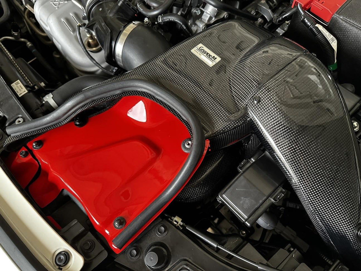 GruppeM RAM Air System - Engine Bay