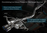 HKS Legamax Premium Cat-back - Exhaust Garage IMMI