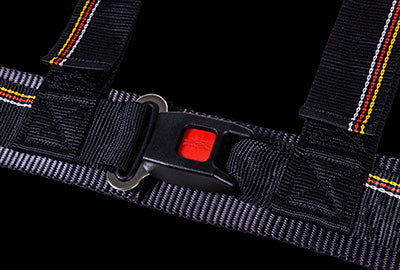 Mugen 4 Point Harness - Interior Garage IMMI