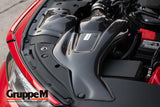 GruppeM RAM Air System - Engine Bay