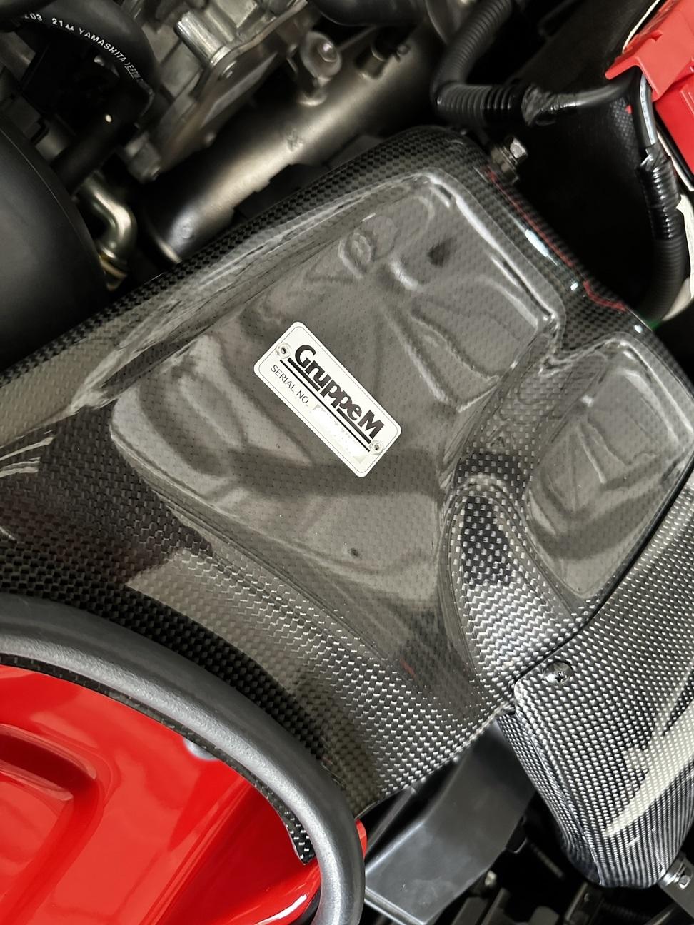 GruppeM RAM Air System - Engine Bay