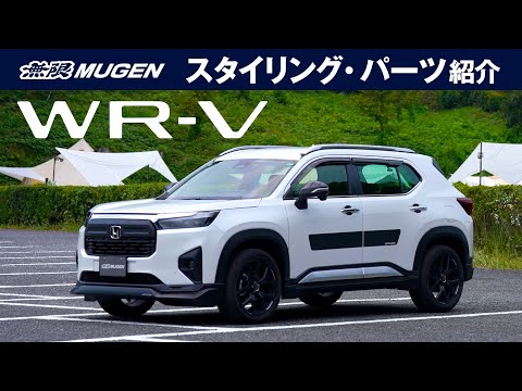 Mugen Tail Light Kit - Honda Civic Type R FL5